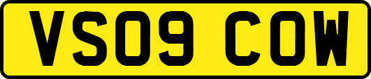 VS09COW