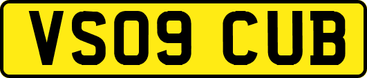 VS09CUB