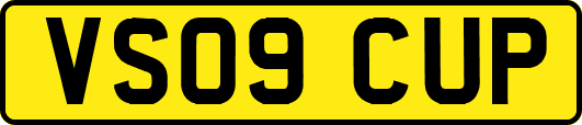 VS09CUP