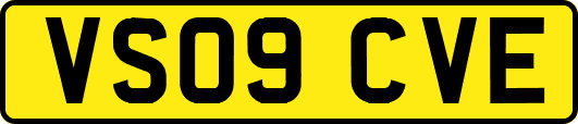VS09CVE