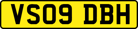 VS09DBH