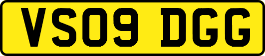 VS09DGG