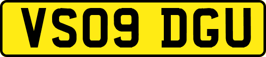 VS09DGU