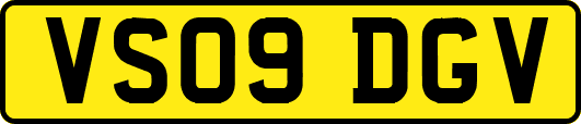 VS09DGV