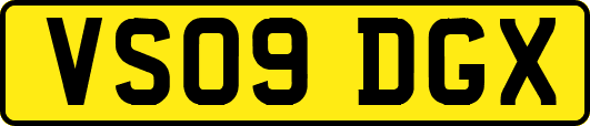 VS09DGX