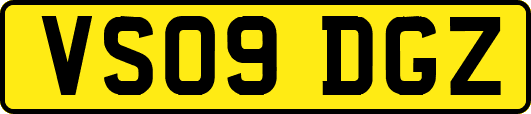 VS09DGZ