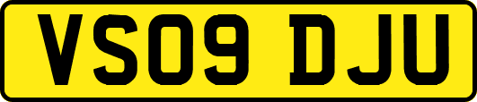 VS09DJU
