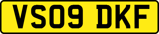 VS09DKF