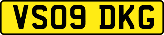 VS09DKG
