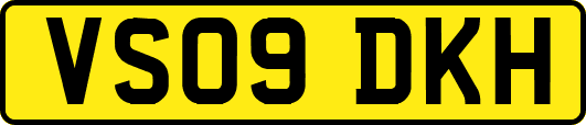 VS09DKH