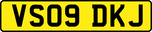 VS09DKJ