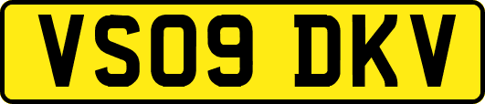 VS09DKV