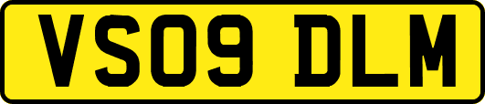 VS09DLM