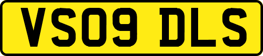 VS09DLS