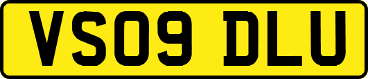 VS09DLU