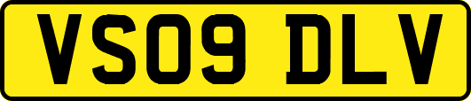 VS09DLV