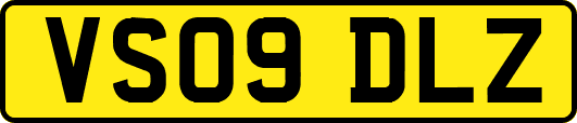 VS09DLZ