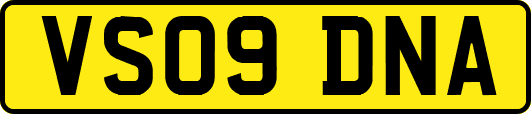 VS09DNA