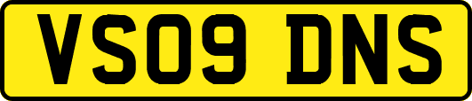VS09DNS