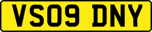 VS09DNY