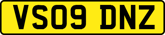 VS09DNZ