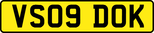 VS09DOK