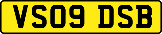VS09DSB