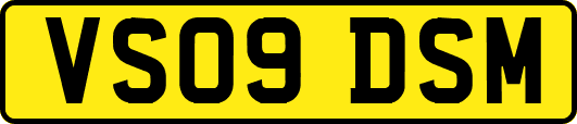 VS09DSM