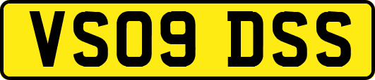 VS09DSS