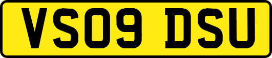 VS09DSU