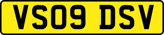 VS09DSV