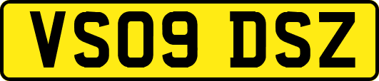 VS09DSZ