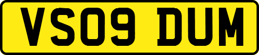 VS09DUM
