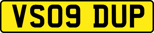 VS09DUP
