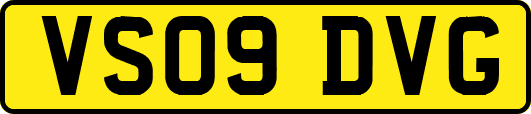 VS09DVG