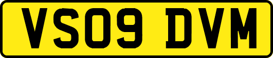 VS09DVM