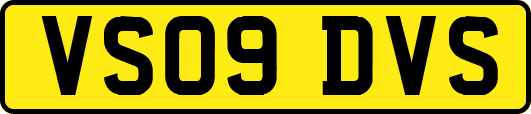 VS09DVS