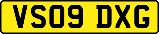 VS09DXG