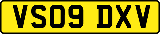VS09DXV