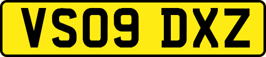 VS09DXZ