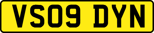 VS09DYN