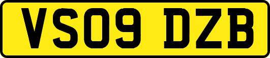 VS09DZB