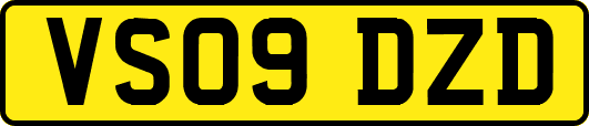 VS09DZD