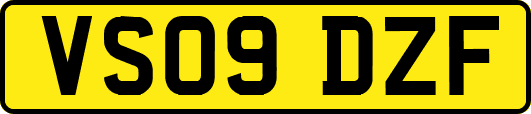 VS09DZF