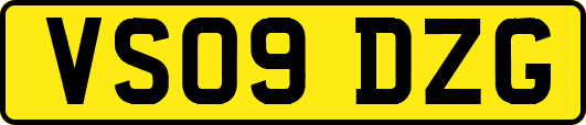 VS09DZG