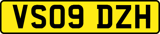 VS09DZH