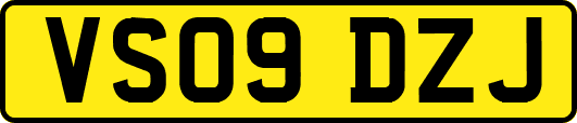 VS09DZJ