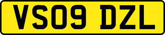 VS09DZL