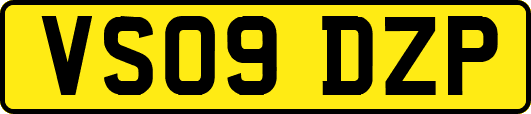 VS09DZP