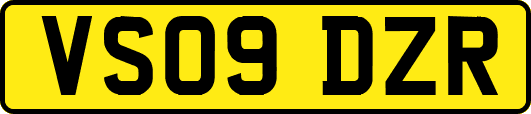 VS09DZR